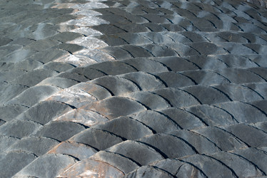 Similar image 1538029