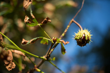 Similar image 1538040