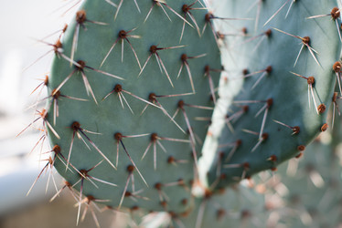 Similar image 1538044