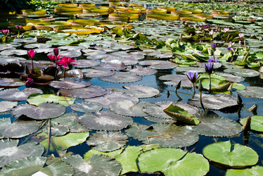 Similar image 1538047