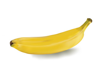 Similar image 1538074