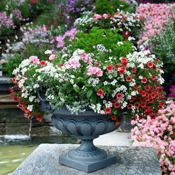 Similar image 1538088