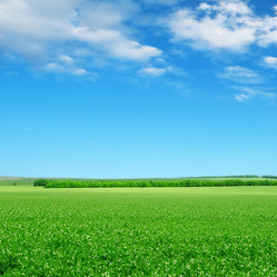 Similar image 1538089