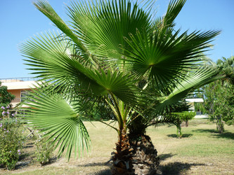 Similar image 1538091