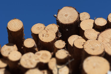 Similar image 1538094