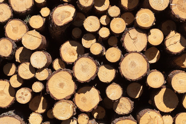 Similar image 1538095