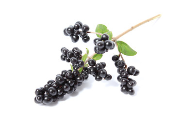 Similar image 1538108