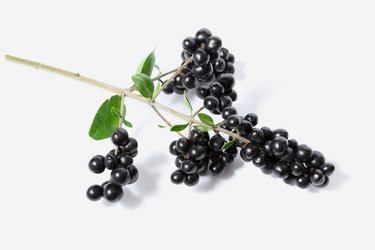 Similar image 1538109