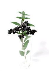 Similar image 1538113