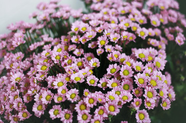 Similar image 1538136