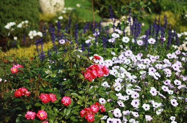 Similar image 1538138