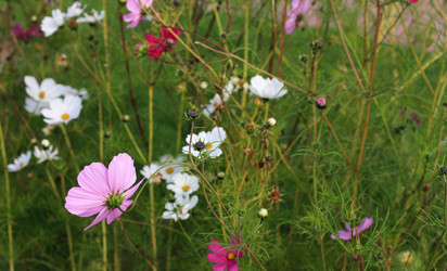 Similar image 1538141