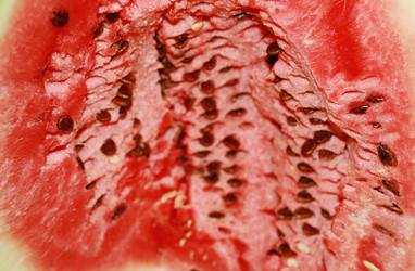 Similar image 1538142