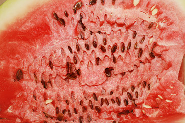 Similar image 1538143