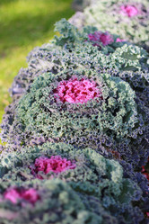 Similar image 1538156