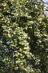 Similar image 1538158