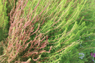 Similar image 1538161