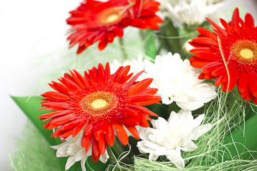 Similar image 1538163