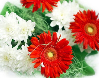 Similar image 1538190