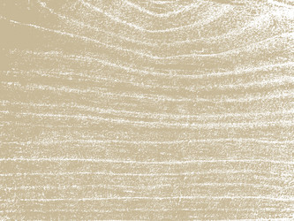 Similar image 1538206