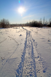 Similar image 1538239