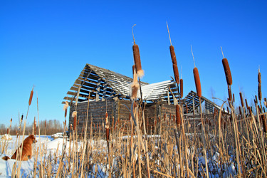 Similar image 1538242