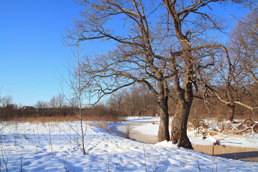 Similar image 1538269