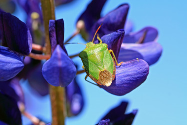 Similar image 1538303