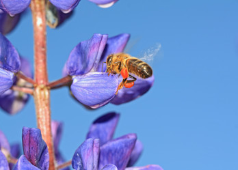 Similar image 1538315