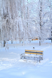 Similar image 1538338