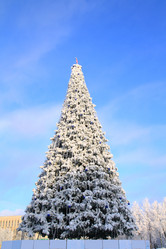 Similar image 1538352