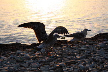 Similar image 1538353