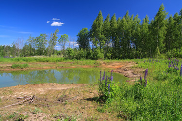 Similar image 1538368