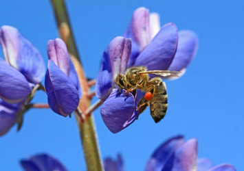 Similar image 1538392