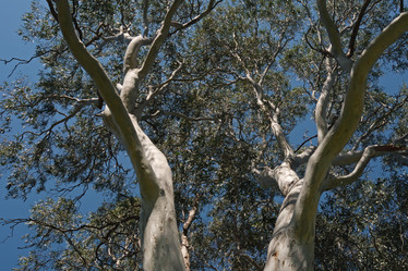 Similar image 1538434