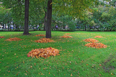 Similar image 1538455