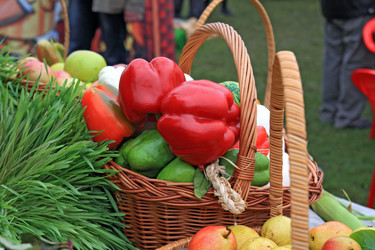 Similar image 1538472