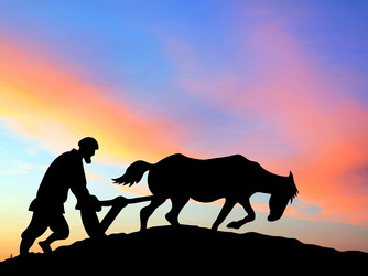 Similar image 1538490