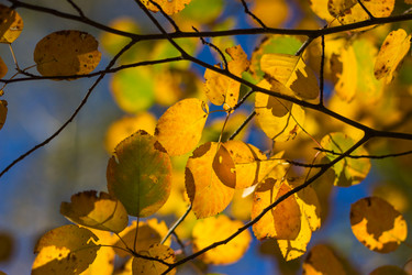 Similar image 1538560