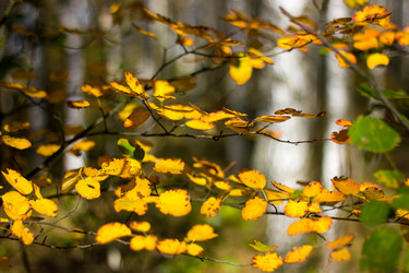 Similar image 1538564