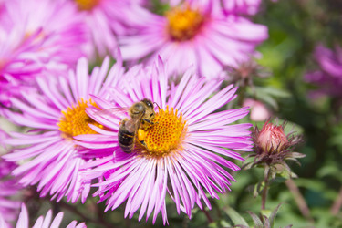 Similar image 1538574