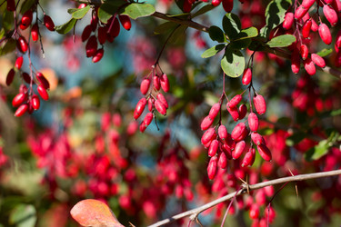 Similar image 1538576