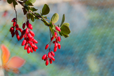 Similar image 1538577