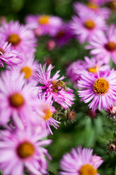 Similar image 1538579