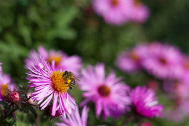 Similar image 1538580