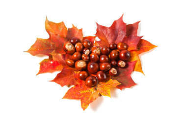 Similar image 1538587