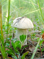 Similar image 1538673