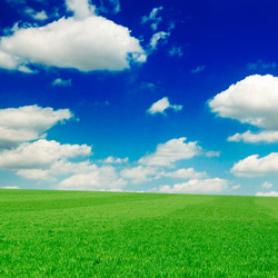 Similar image 1538696