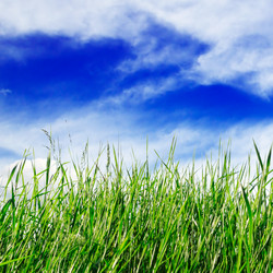 Similar image 1538735