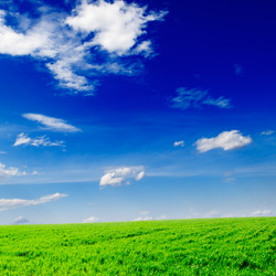 Similar image 1538747